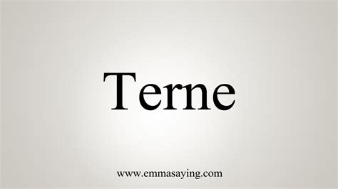 synonyme terne|what does terne mean.